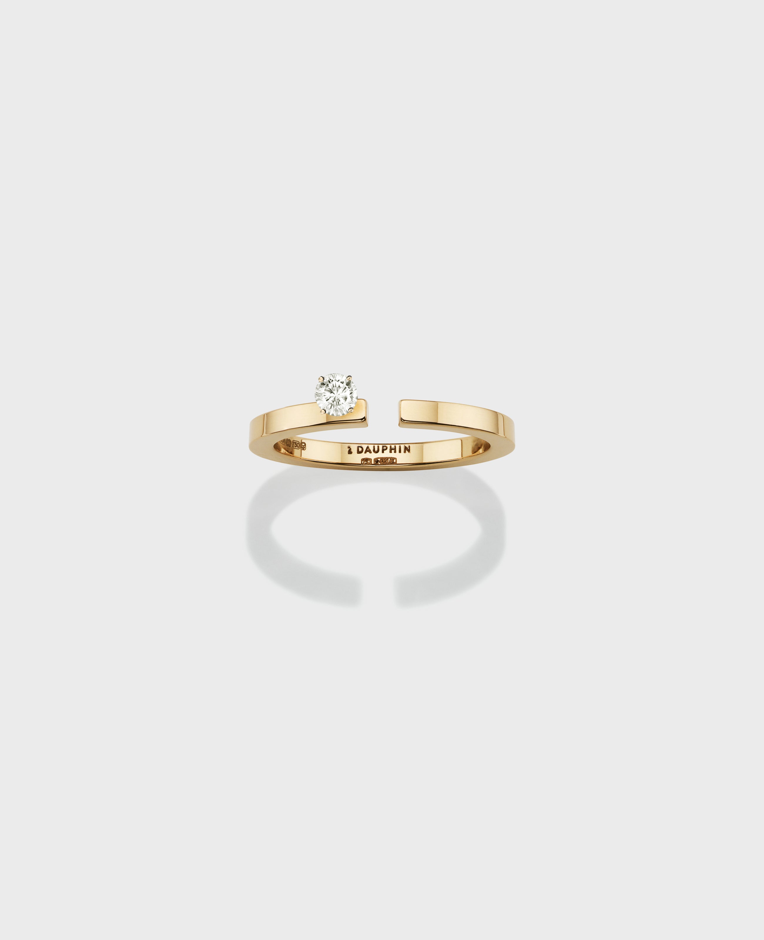 Disruptive ring small - Dauphin