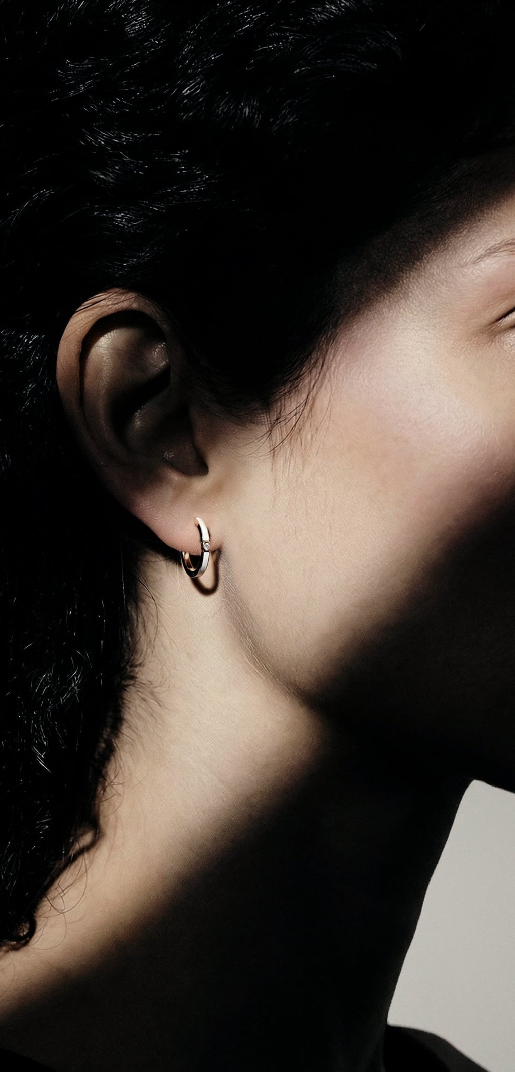 Monument pair of hoops small