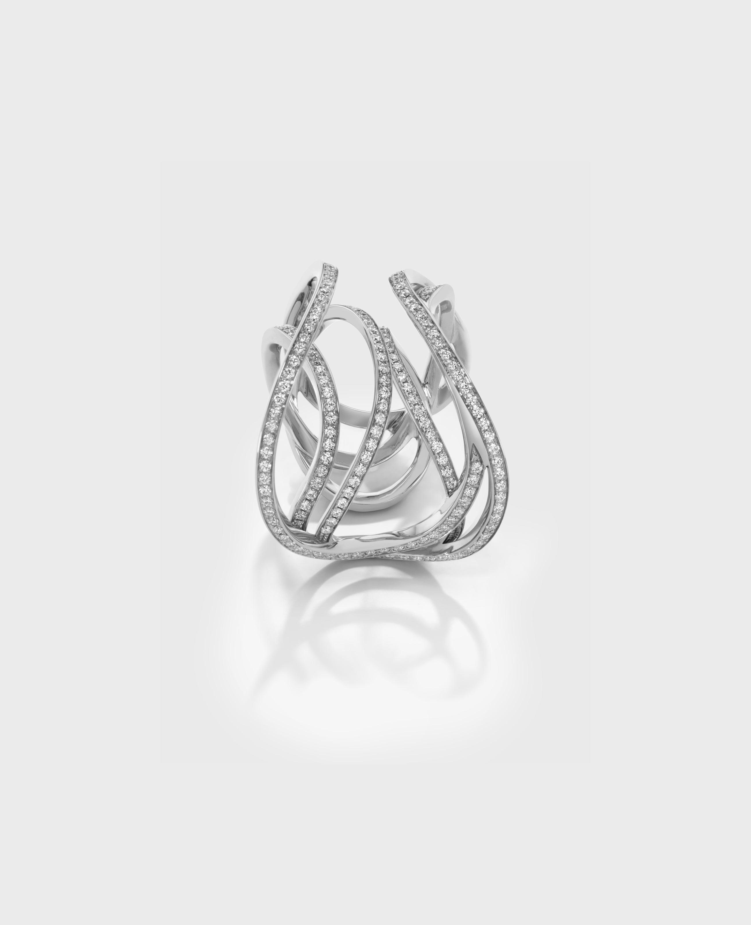 Serpentine ring large - view 12 - Dauphin
