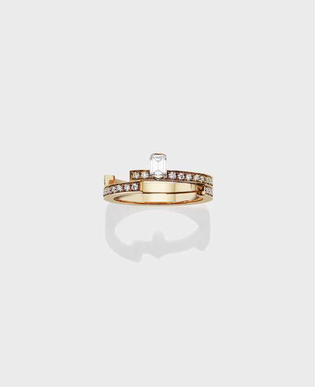 Disruptive ring medium - Dauphin