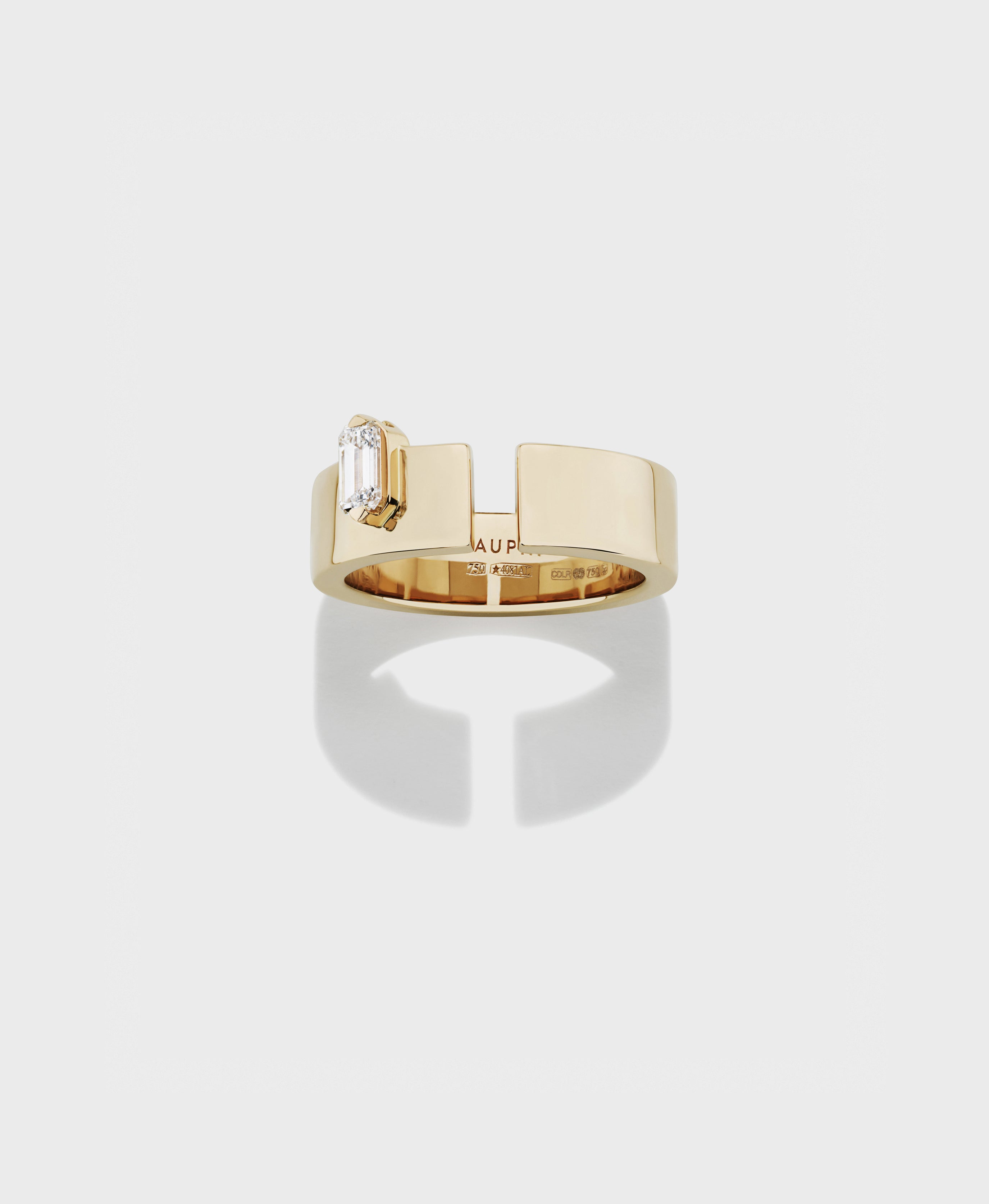 Disruptive ring medium - Dauphin