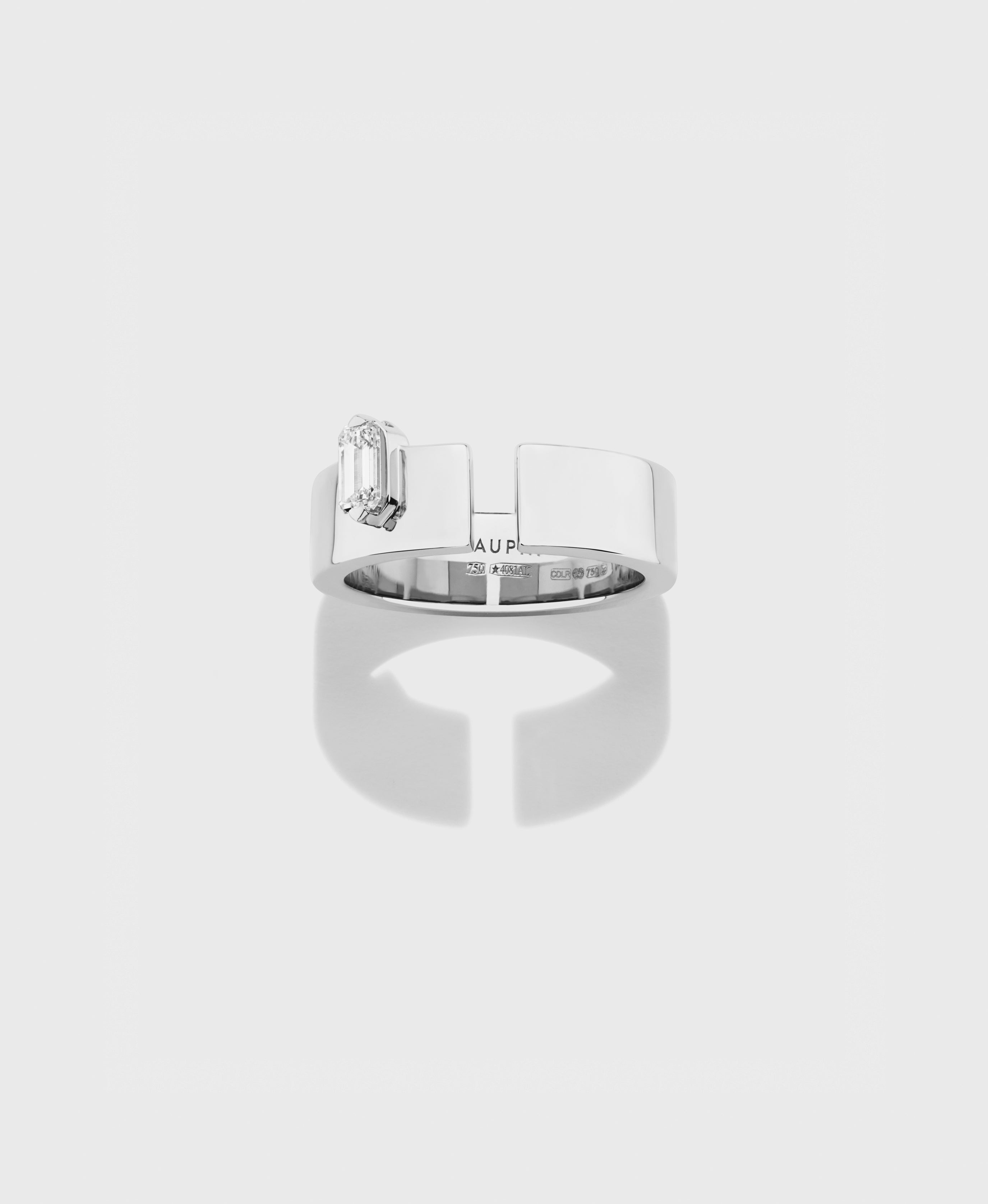 Disruptive ring medium - view 6 - Dauphin