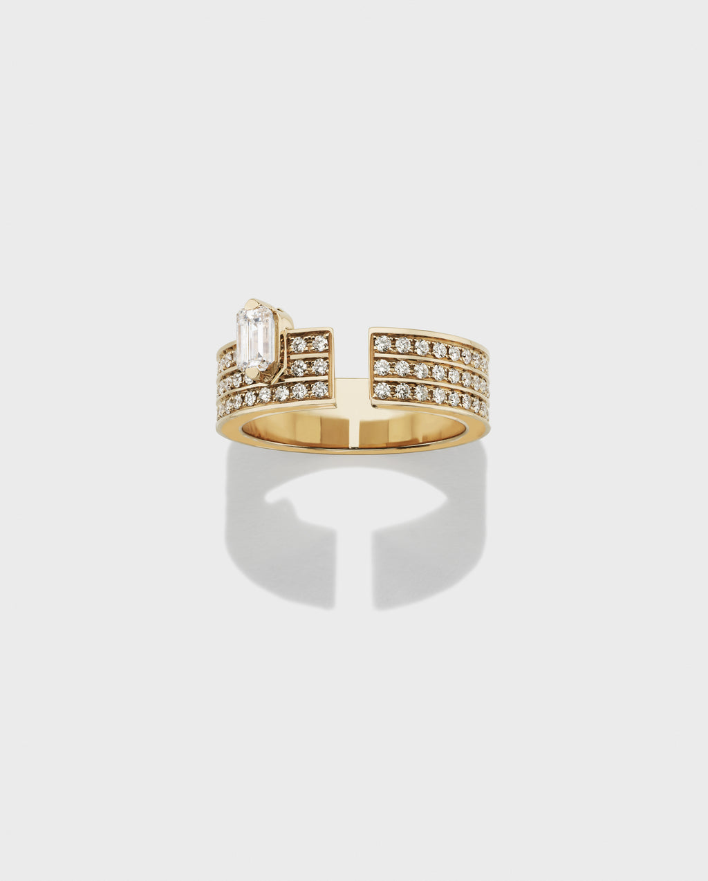 Disruptive ring medium - Dauphin
