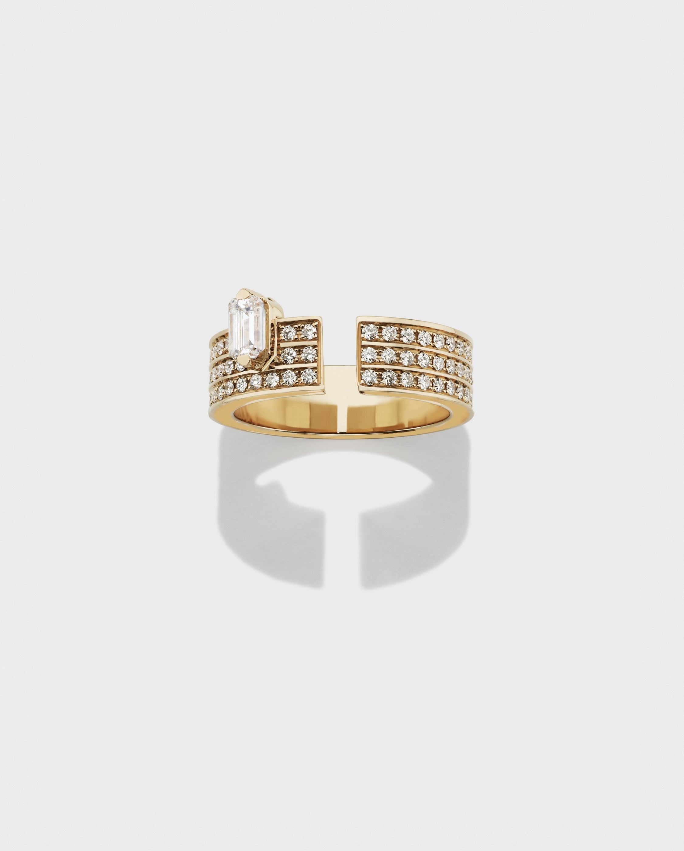 Disruptive ring medium - Dauphin