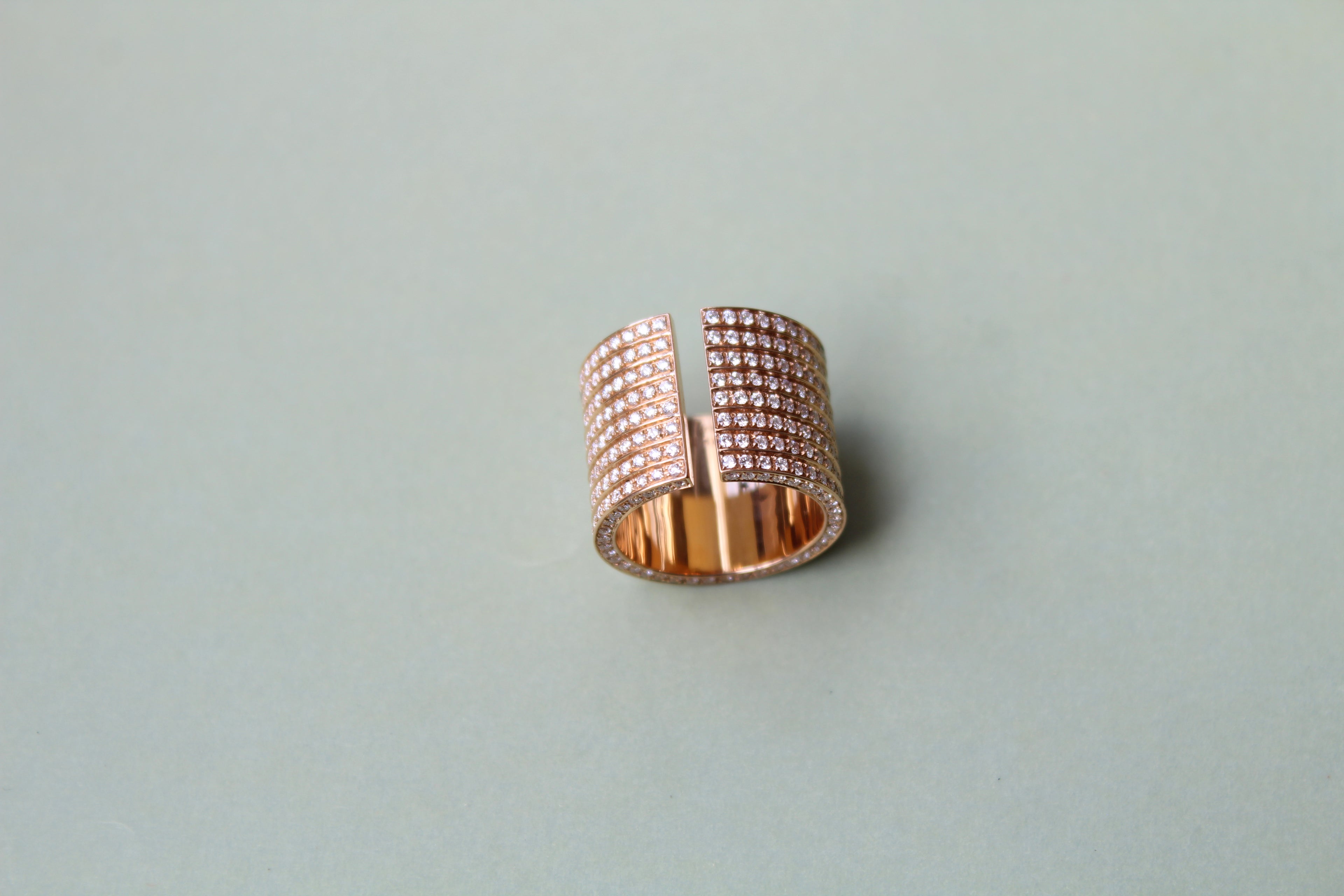 PP BAGUE - Dauphin