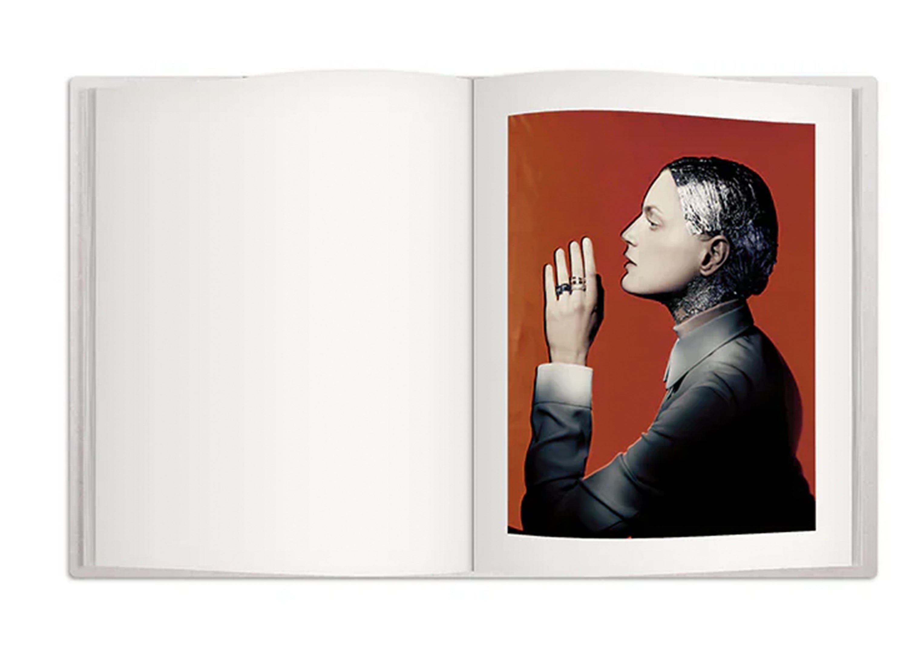 DAUPHIN X PAOLO ROVERSI BOOK - Dauphin