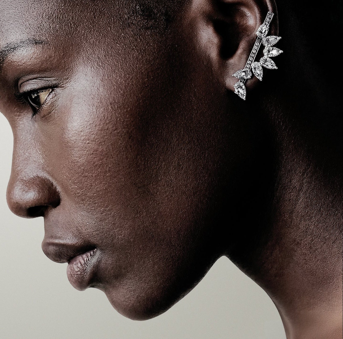 Disruptive pair of earrings